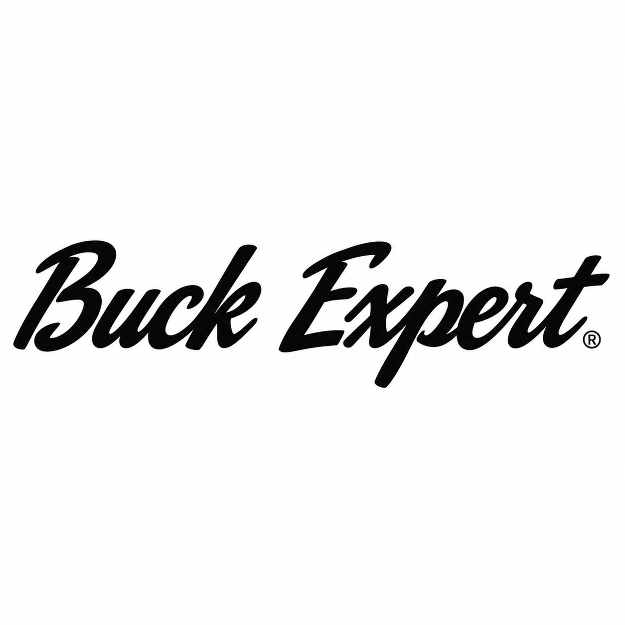 BUCK EXPERT